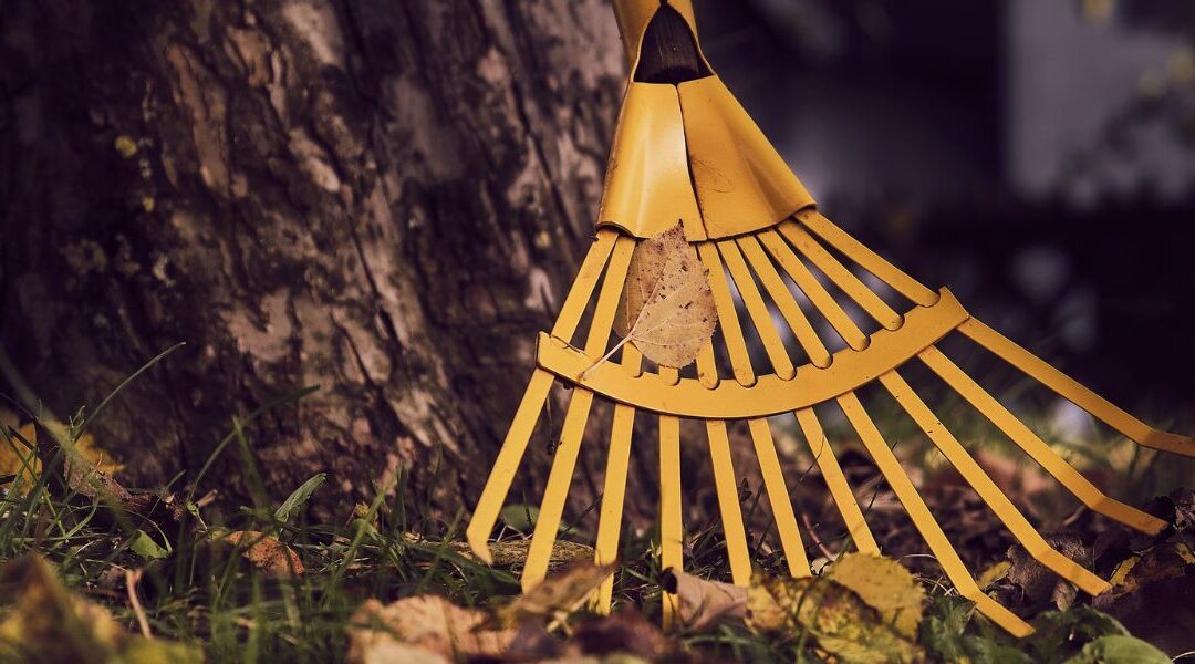 Hello Autumn: 8 Musts for Fall Home Maintenance 